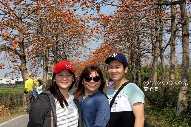 IMG_1569.JPG IMG_1569.JPG