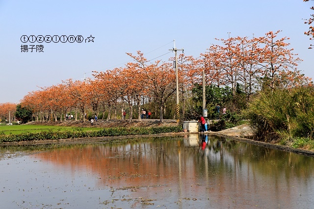 IMG_1579.JPG IMG_1579.JPG