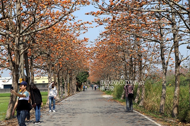 IMG_1598.JPG IMG_1598.JPG