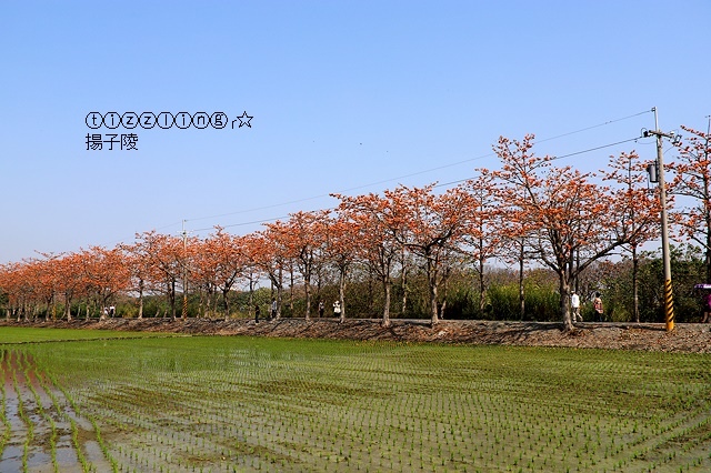 IMG_1609.JPG IMG_1609.JPG