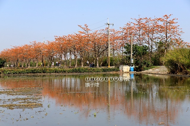 IMG_1624.JPG IMG_1624.JPG