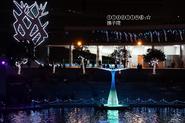 IMG_9385.JPG IMG_9385.JPG