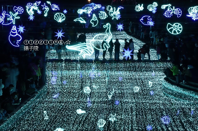 IMG_9485.JPG IMG_9485.JPG