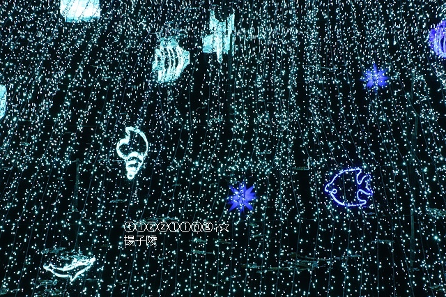 IMG_9486.JPG IMG_9486.JPG