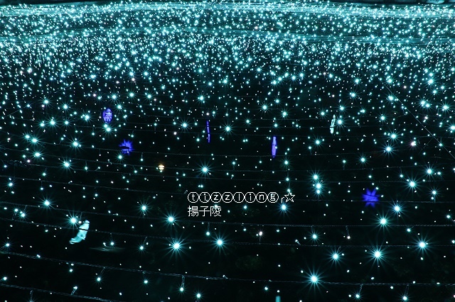 IMG_9527.JPG IMG_9527.JPG