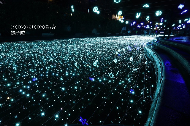 IMG_9639.JPG IMG_9639.JPG