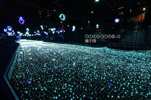 IMG_9670.JPG IMG_9670.JPG