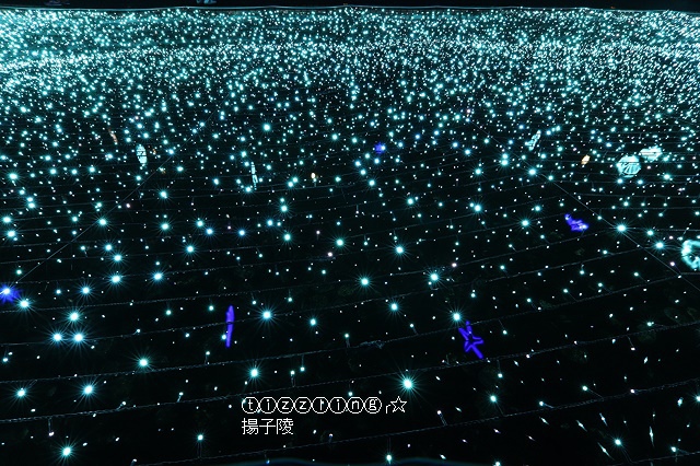 IMG_9638.JPG IMG_9638.JPG