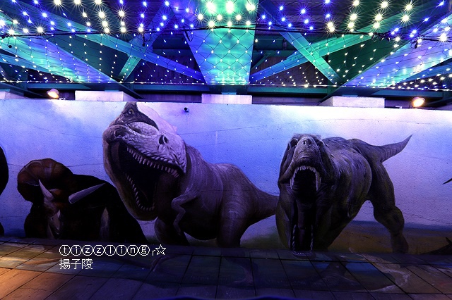 IMG_9678.JPG IMG_9678.JPG