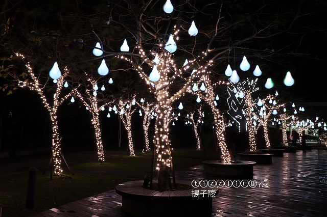 IMG_9714.JPG IMG_9714.JPG