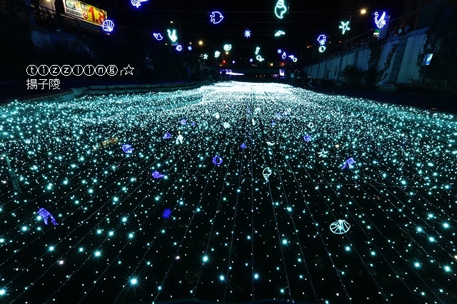 IMG_9599.JPG IMG_9599.JPG