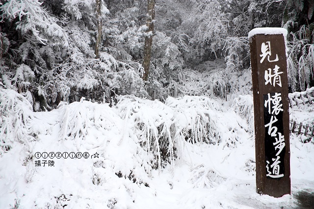 那一年宜蘭太平山下雪｜見晴懷古步道｜思源啞口，一起漫步在銀白