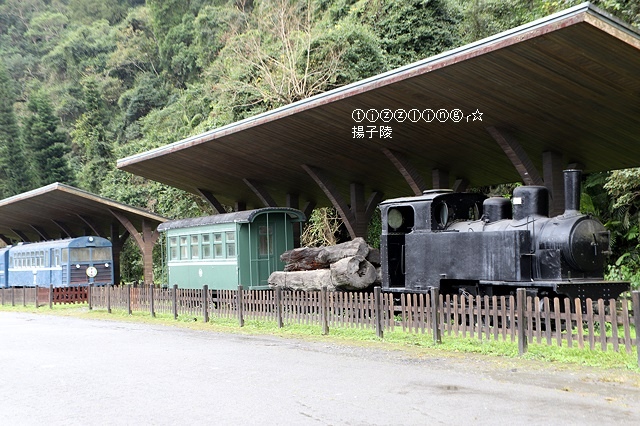 那一年宜蘭太平山下雪｜見晴懷古步道｜思源啞口，一起漫步在銀白