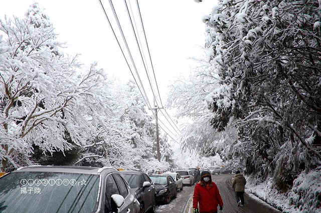 那一年宜蘭太平山下雪｜見晴懷古步道｜思源啞口，一起漫步在銀白