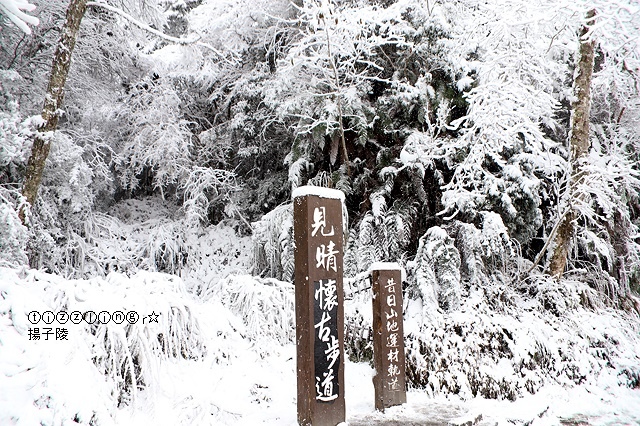 那一年宜蘭太平山下雪｜見晴懷古步道｜思源啞口，一起漫步在銀白