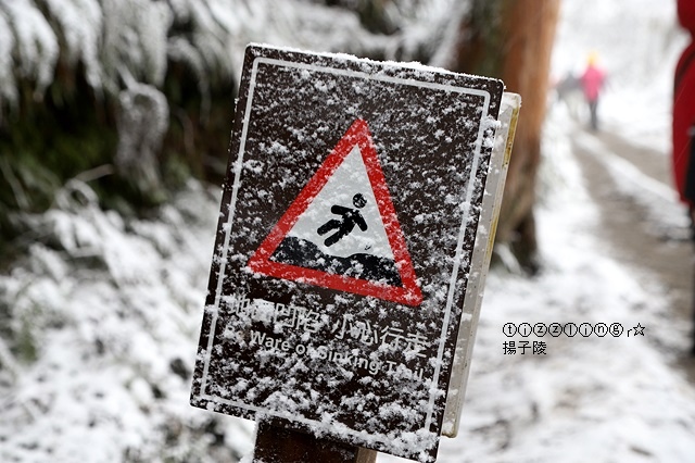 那一年宜蘭太平山下雪｜見晴懷古步道｜思源啞口，一起漫步在銀白