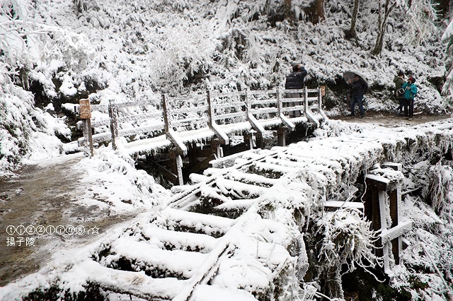 那一年宜蘭太平山下雪｜見晴懷古步道｜思源啞口，一起漫步在銀白