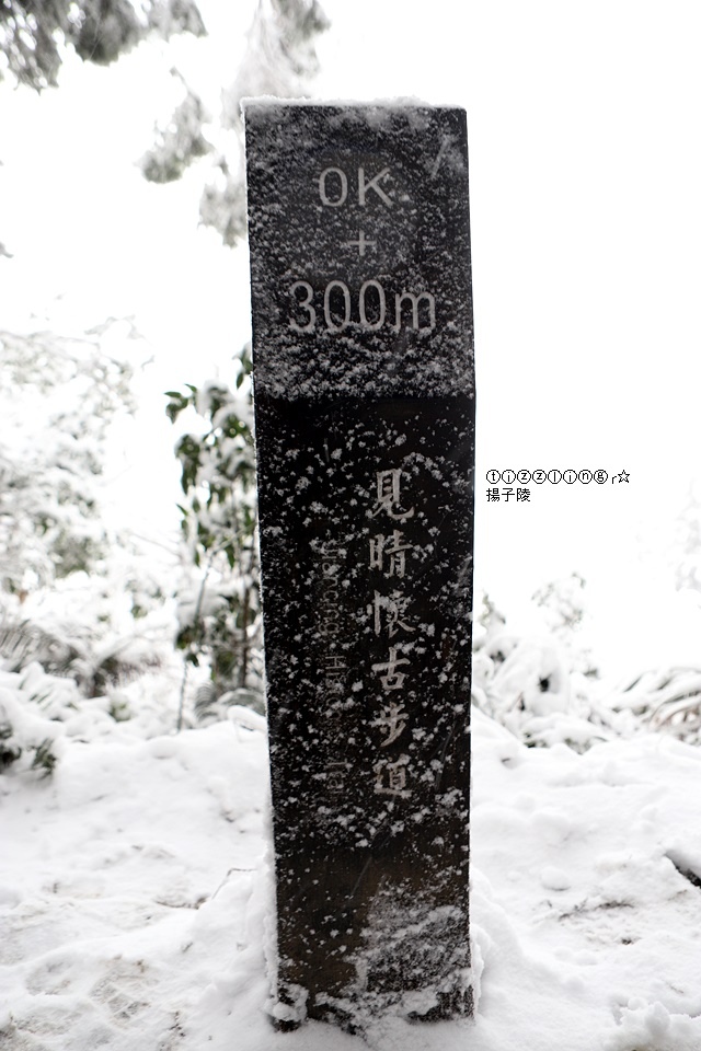 那一年宜蘭太平山下雪｜見晴懷古步道｜思源啞口，一起漫步在銀白