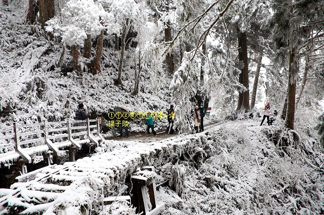 那一年宜蘭太平山下雪｜見晴懷古步道｜思源啞口，一起漫步在銀白