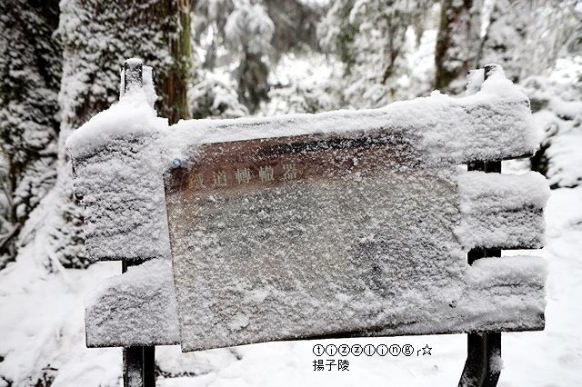 那一年宜蘭太平山下雪｜見晴懷古步道｜思源啞口，一起漫步在銀白