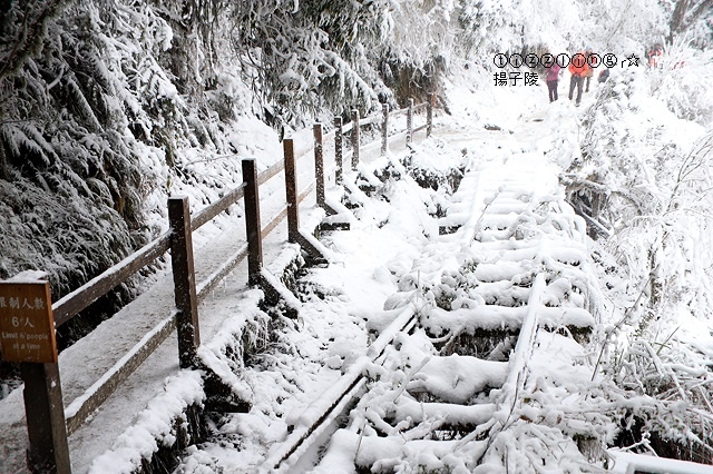 那一年宜蘭太平山下雪｜見晴懷古步道｜思源啞口，一起漫步在銀白