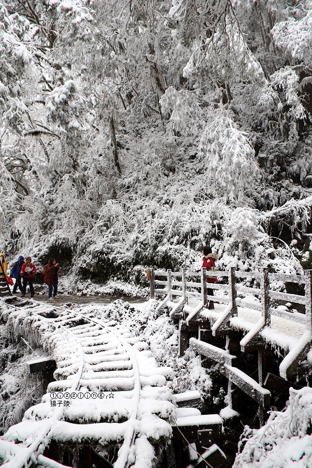 那一年宜蘭太平山下雪｜見晴懷古步道｜思源啞口，一起漫步在銀白