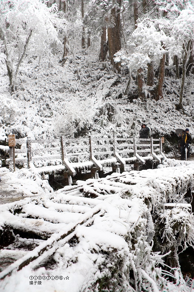 那一年宜蘭太平山下雪｜見晴懷古步道｜思源啞口，一起漫步在銀白