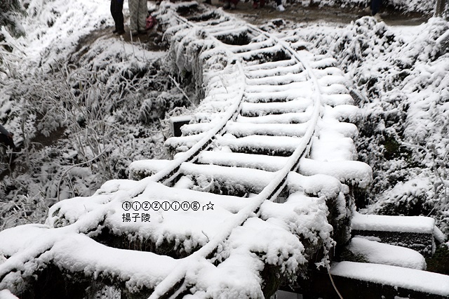 那一年宜蘭太平山下雪｜見晴懷古步道｜思源啞口，一起漫步在銀白