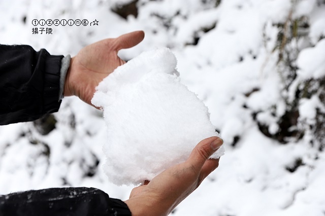 那一年宜蘭太平山下雪｜見晴懷古步道｜思源啞口，一起漫步在銀白