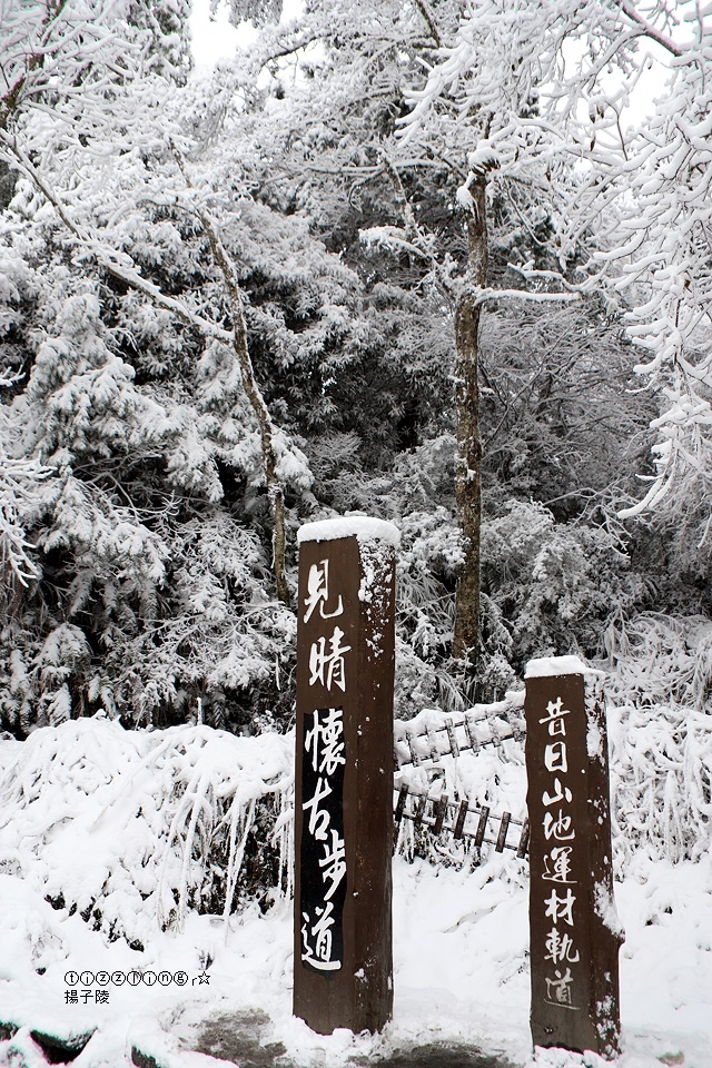 那一年宜蘭太平山下雪｜見晴懷古步道｜思源啞口，一起漫步在銀白