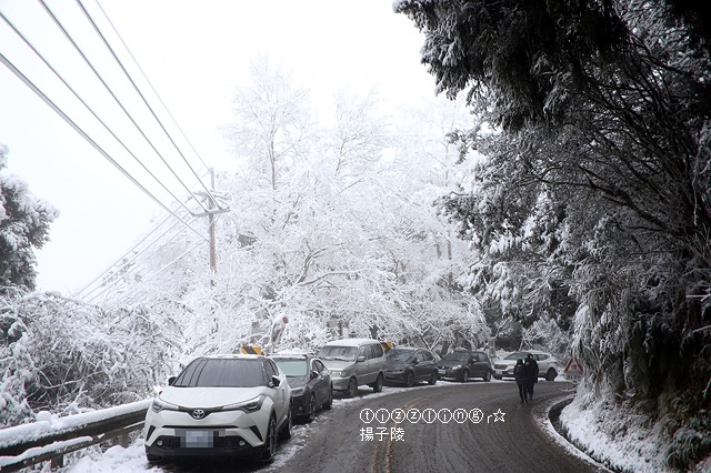 那一年宜蘭太平山下雪｜見晴懷古步道｜思源啞口，一起漫步在銀白