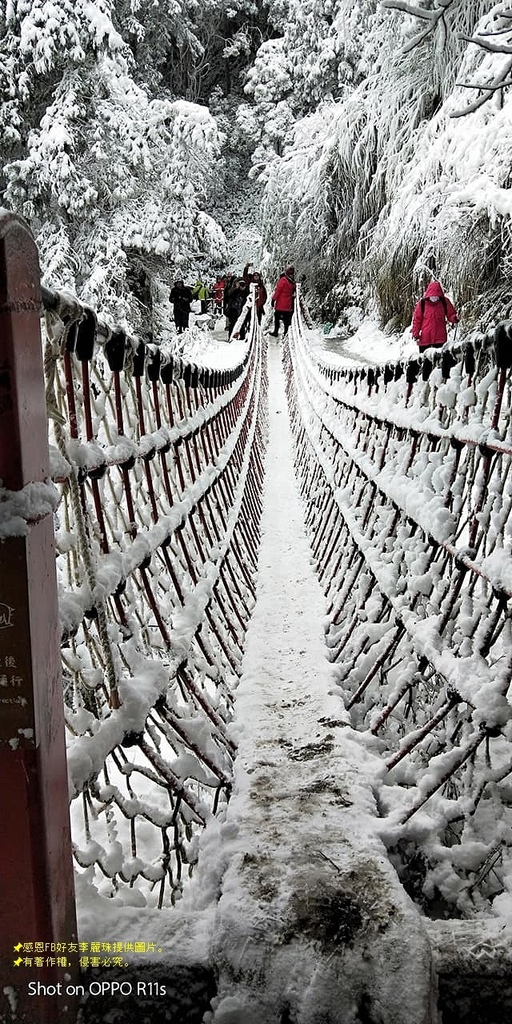 那一年宜蘭太平山下雪|見晴懷古步道|思源啞口,一起漫步在銀白