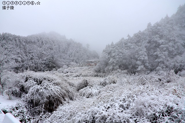 那一年宜蘭太平山下雪｜見晴懷古步道｜思源啞口，一起漫步在銀白