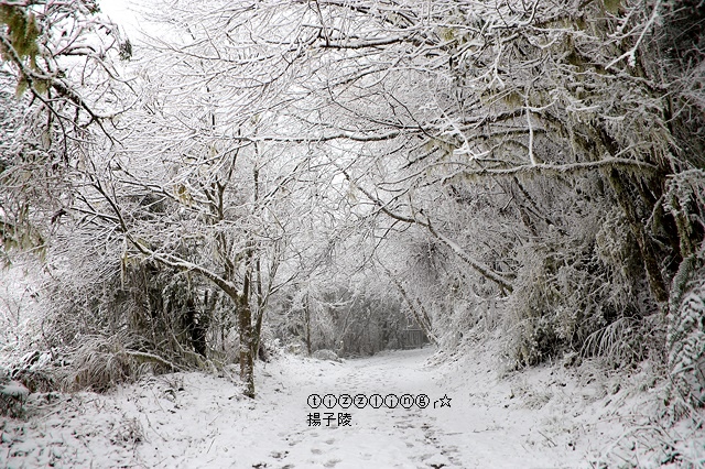 那一年宜蘭太平山下雪｜見晴懷古步道｜思源啞口，一起漫步在銀白