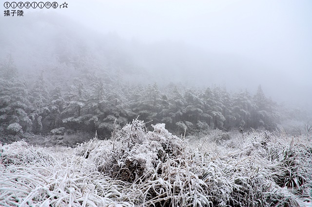 那一年宜蘭太平山下雪｜見晴懷古步道｜思源啞口，一起漫步在銀白