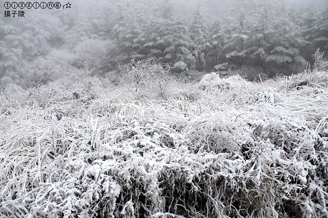 那一年宜蘭太平山下雪｜見晴懷古步道｜思源啞口，一起漫步在銀白