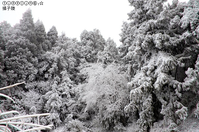 那一年宜蘭太平山下雪｜見晴懷古步道｜思源啞口，一起漫步在銀白