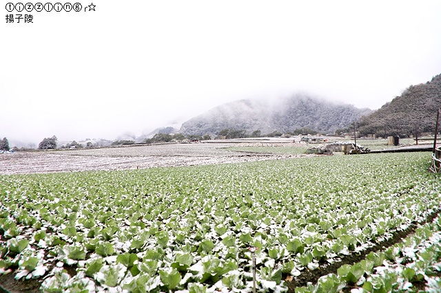 那一年宜蘭太平山下雪｜見晴懷古步道｜思源啞口，一起漫步在銀白