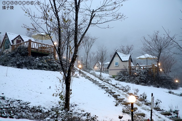 那一年宜蘭太平山下雪｜見晴懷古步道｜思源啞口，一起漫步在銀白