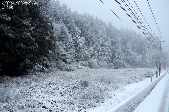 那一年宜蘭太平山下雪｜見晴懷古步道｜思源啞口，一起漫步在銀白