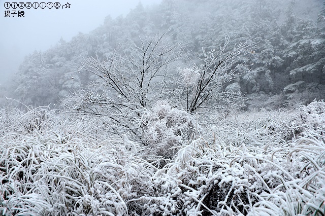 那一年宜蘭太平山下雪｜見晴懷古步道｜思源啞口，一起漫步在銀白