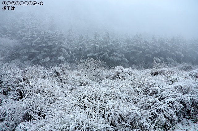 那一年宜蘭太平山下雪｜見晴懷古步道｜思源啞口，一起漫步在銀白