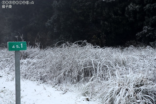 那一年宜蘭太平山下雪｜見晴懷古步道｜思源啞口，一起漫步在銀白