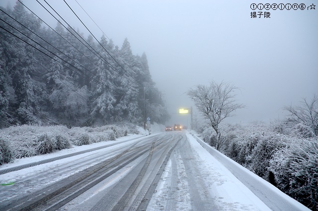 那一年宜蘭太平山下雪｜見晴懷古步道｜思源啞口，一起漫步在銀白