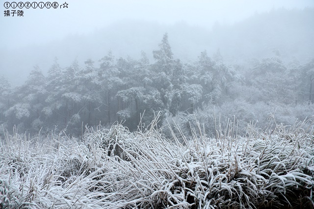 那一年宜蘭太平山下雪｜見晴懷古步道｜思源啞口，一起漫步在銀白