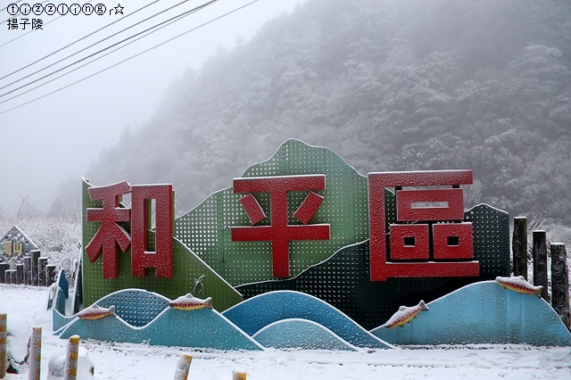 那一年宜蘭太平山下雪｜見晴懷古步道｜思源啞口，一起漫步在銀白