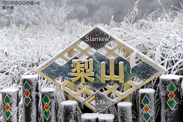 那一年宜蘭太平山下雪｜見晴懷古步道｜思源啞口，一起漫步在銀白