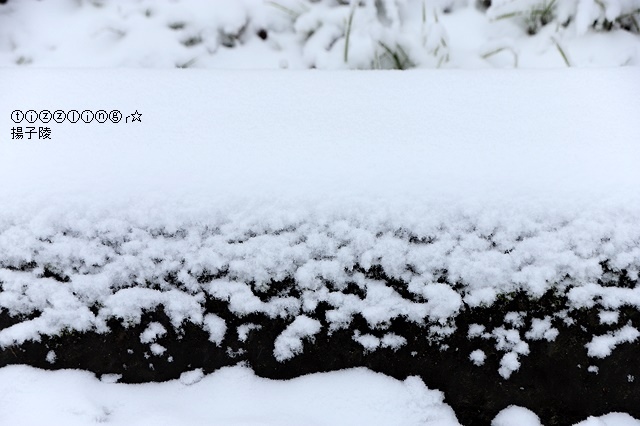 那一年宜蘭太平山下雪｜見晴懷古步道｜思源啞口，一起漫步在銀白