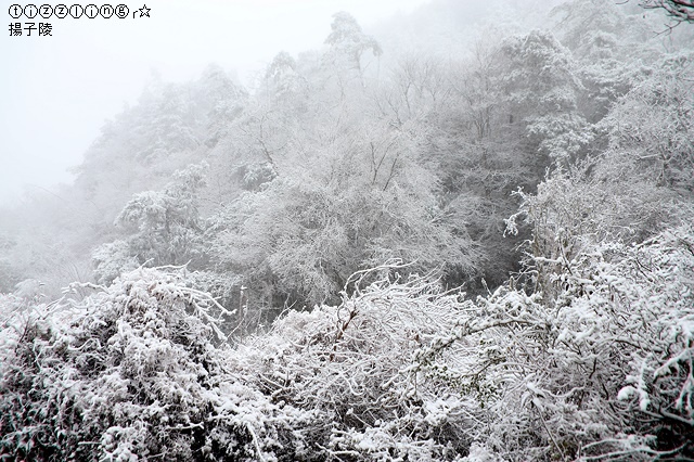 那一年宜蘭太平山下雪｜見晴懷古步道｜思源啞口，一起漫步在銀白