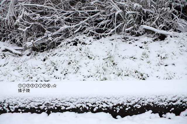 那一年宜蘭太平山下雪｜見晴懷古步道｜思源啞口，一起漫步在銀白